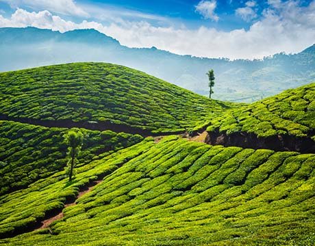 munnar